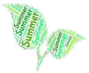 Tips & Tricks for Summer Merchandising