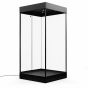 Mannequin Display Case