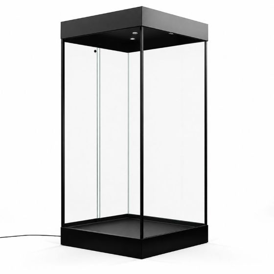 Mannequin Display Case